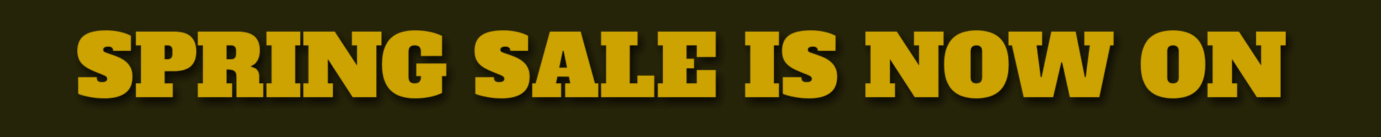 ZAGRANHOST